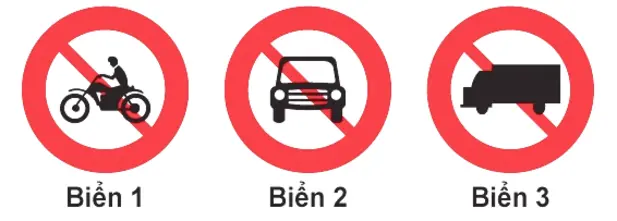 Hình minh hoạ câu 311